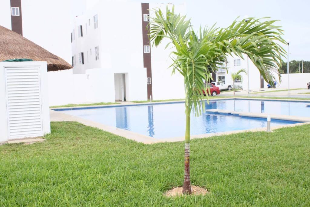 Apartamento Depa de PLAYA c/ALBERCA cerca de la 5a AVENIDA Playa del Carmen Exterior foto